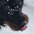 Jodi Smith's profile image