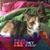 Molly Novitzke's profile image