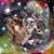 Sarah Nelson's profile image