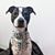 Sharon Weatherford Brausch's profile image