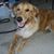 Frances M. Fickle's profile image