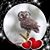 Cindy Neubert's profile image