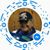 Corbett George's profile image