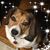 Dee Bouffard's profile image