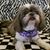 Dee Patton's profile image