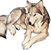 Faye Raymond's profile image