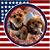 Anna Baker's profile image