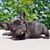 Tuan Huynh's profile image