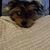 Kyra Kriley Walters's profile image