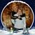 Amy Casper Netherland's profile image