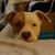 Kathy Rentz's profile image
