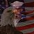 John Fowler's profile image