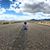 Teressa Wickham's profile image