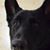 Robert Vaughan's profile image