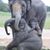 Katy Kinney's profile image