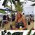 Deborah Elisa Ford's profile image