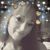 Michelle Carr's profile image
