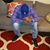 Bobby Boucher's profile image