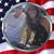 Julie J Porter's profile image
