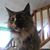 Melissa McNerney's profile image