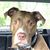 Catherine Lyons Hinshaw's profile image