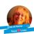 Leslie Bennett's profile image
