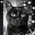 Kathy Brennan's profile image