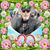 George Trabakoulos's profile image