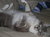 Teresa L.'s profile image