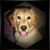 Teri Stanley's profile image