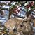 Doreen Driscoll's profile image