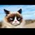 Jeff Ziegler's profile image