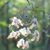 Amy Jenkins Jones's profile image