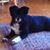 Mary Schenk's profile image