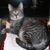 Deb Hunsicker's profile image