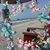 Pat Wilkes Askins's profile image