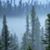 Morag Binnie Pfaff's profile image