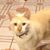 Patti McCarthy Kaiser's profile image