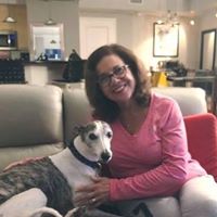 Linda Ortiz's profile image