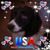 Linda Hansen Zieman's profile image