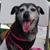 Gale Woodman Hanshaw's profile image
