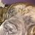JE Tirey's profile image