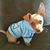 Kimberly Ojeda's profile image