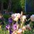 Beverley Suthers's profile image
