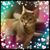 Sandy LaPlante's profile image