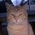 Troy S Picklyk's profile image