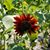 Nancy L. Clements's profile image