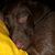 Michael Roberts's profile image
