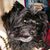 Loretta Simonds's profile image