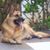 Trisha Trahan Tant's profile image